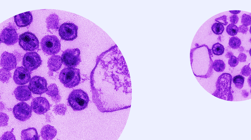 cellular image