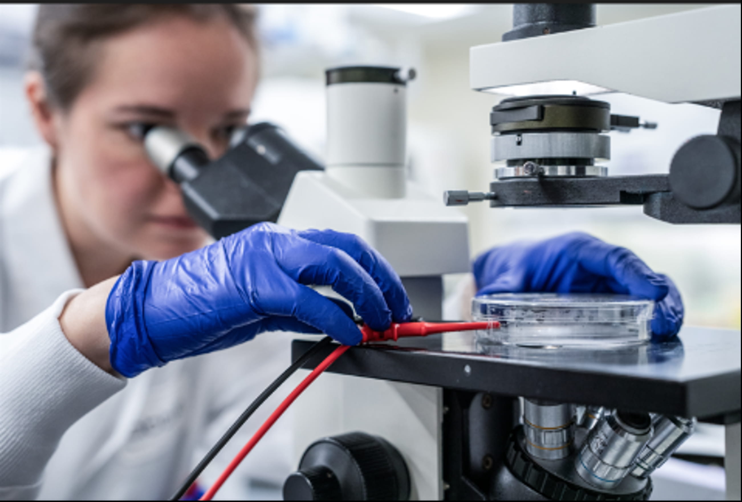 older scientist focus