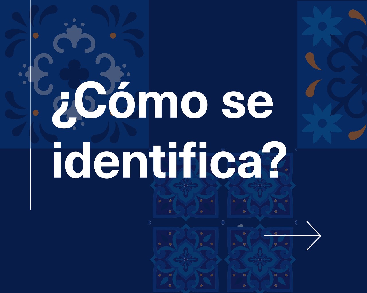 Como se identifica