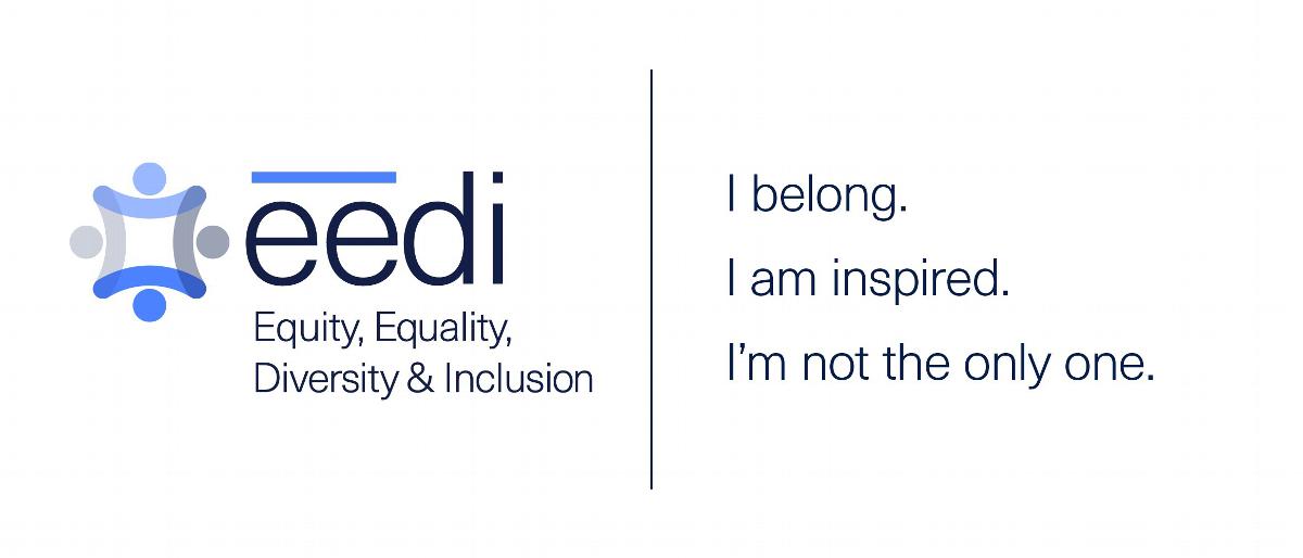 EEDI Report 2021 Illustration Story